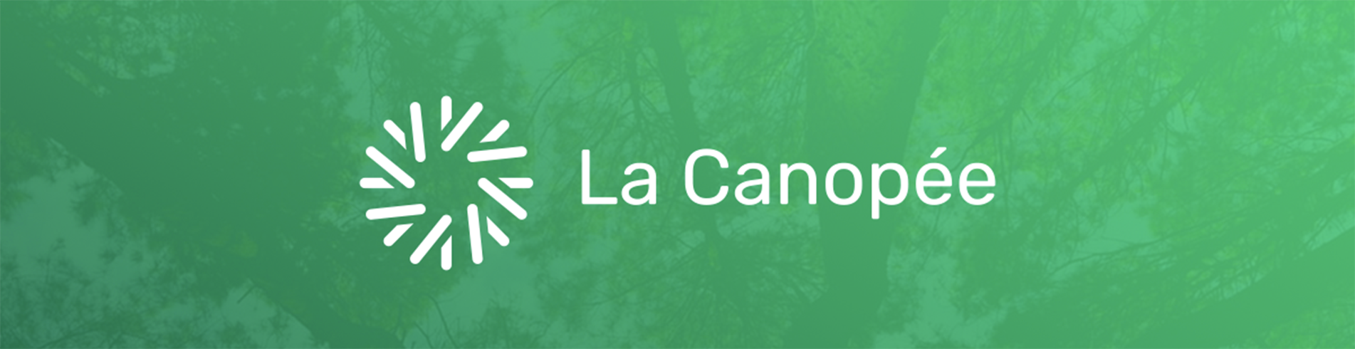 concours la canopée innovation forêt bois