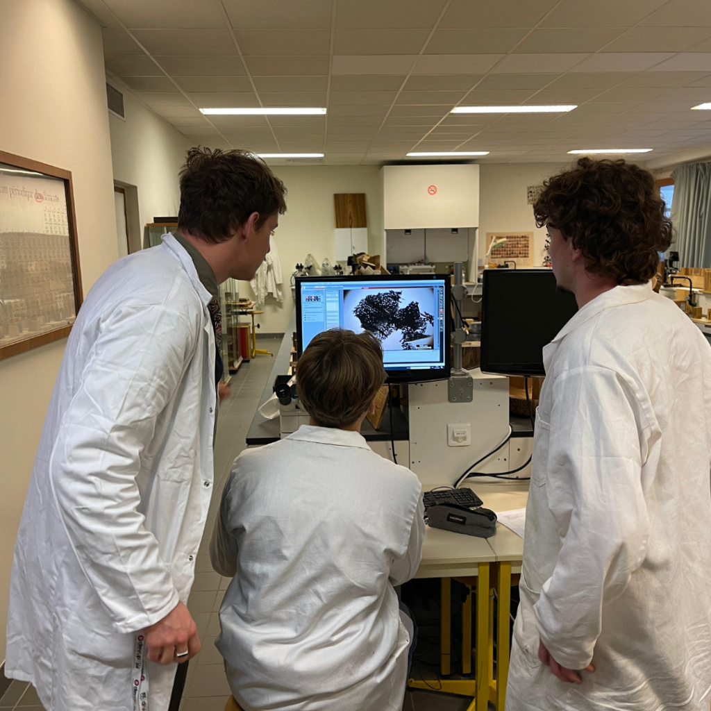 Les élèves sont en cours anatomie du bois
