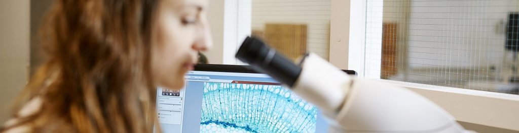 Recherche développement esb laboratoire matériaux biosourcés bois