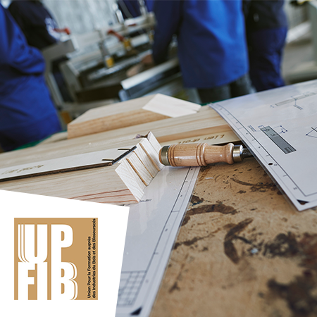 Projet Upfib
